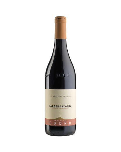 Elvio Cogno Bricco dei Merli Barbera d'Alba 750ml