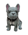 Mascota French Bulldog Reposado Tequila 750ml - Pre Sale